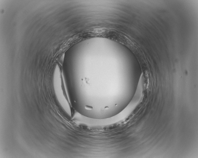 X0000052630562200507221753