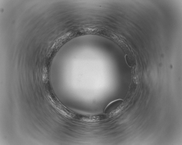 X0000052630563200507221753