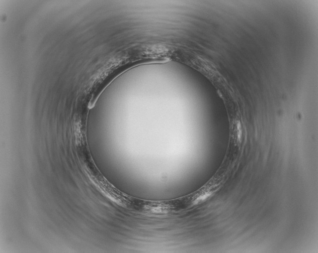 X0000052630564200507221753