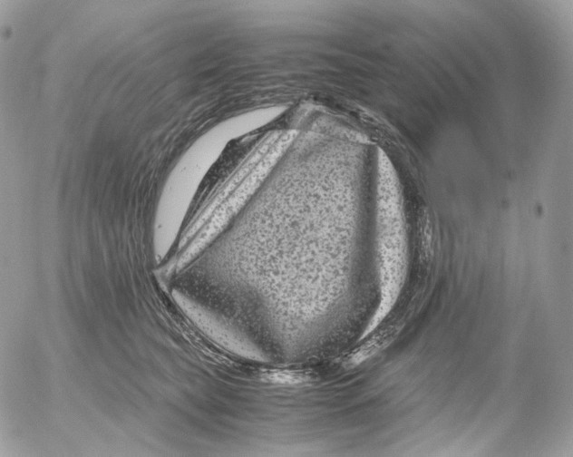 X0000052630565200507221753