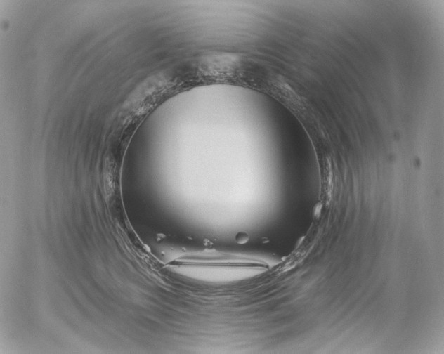 X0000052630566200507221753