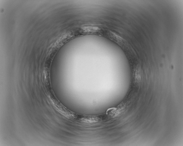 X0000052630567200507221753