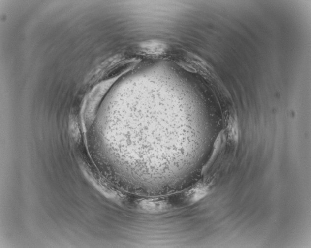 X0000052630568200507221753