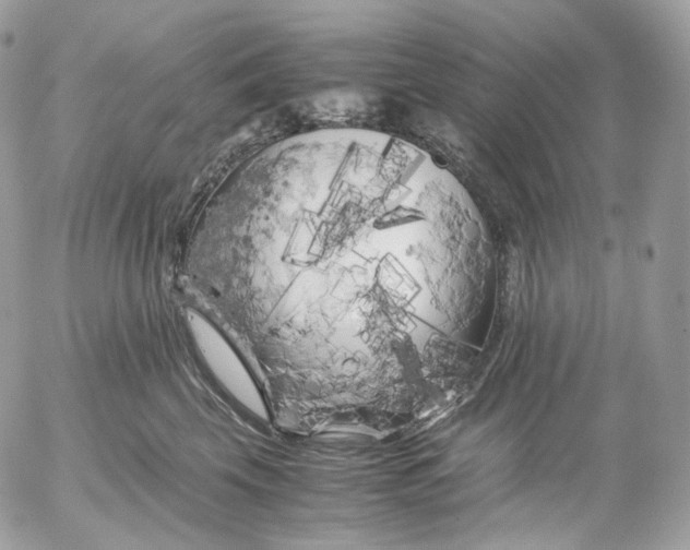 X0000052630569200507221753