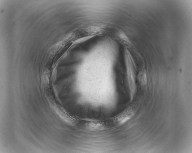 X0000052630570200507221753