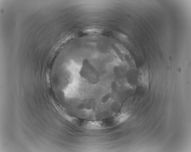 X0000052630573200507221753