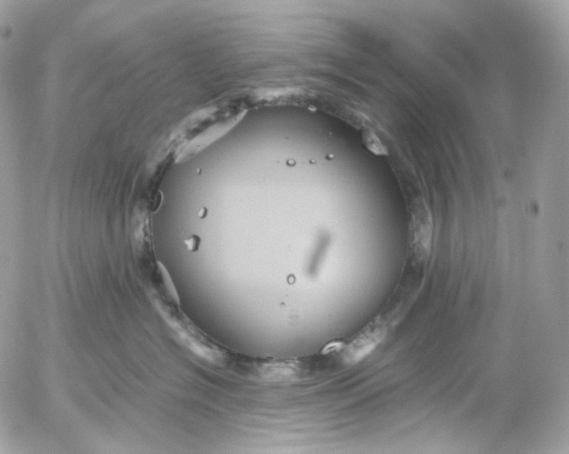 X0000052630574200507221753