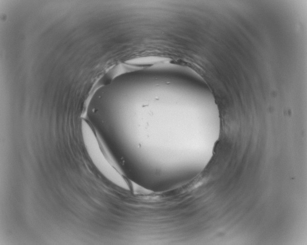 X0000052630575200507221753