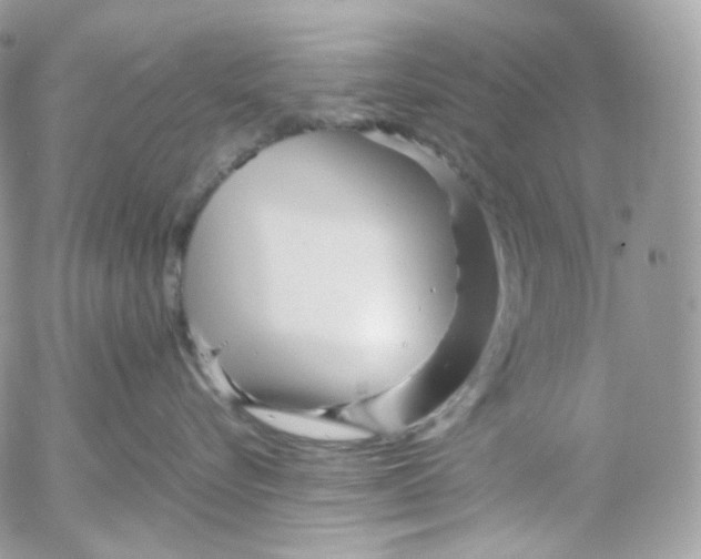 X0000052630576200507221753