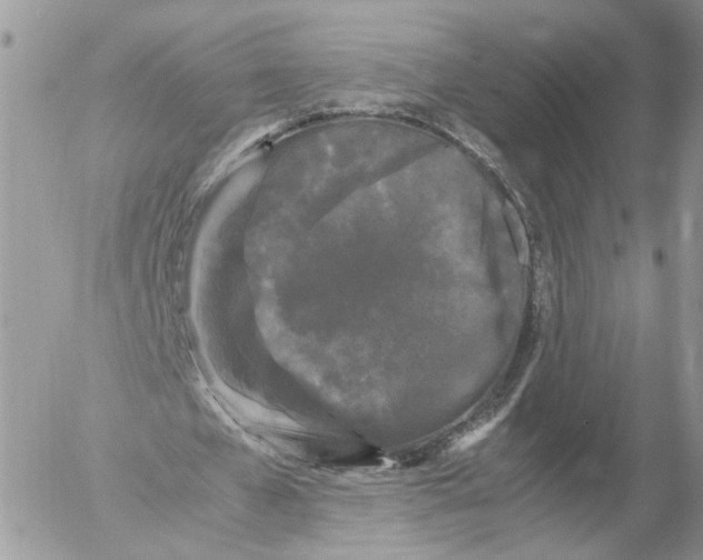 X0000052630577200507221752