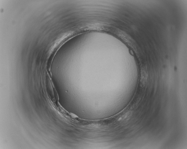 X0000052630578200507221752