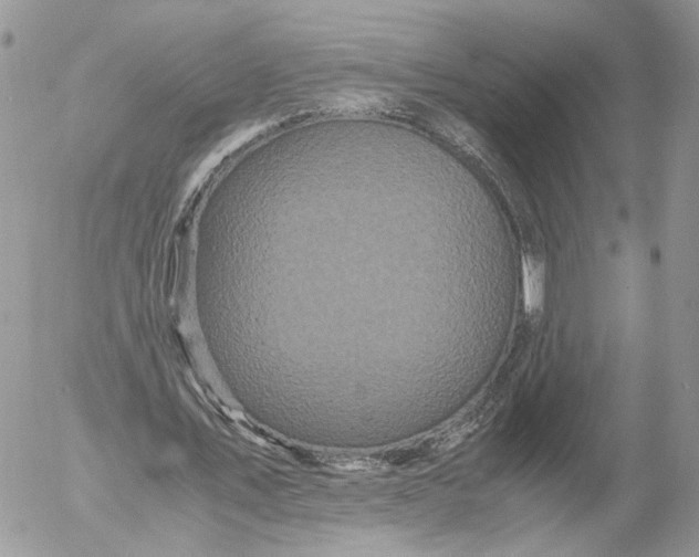 X0000052630579200507221752