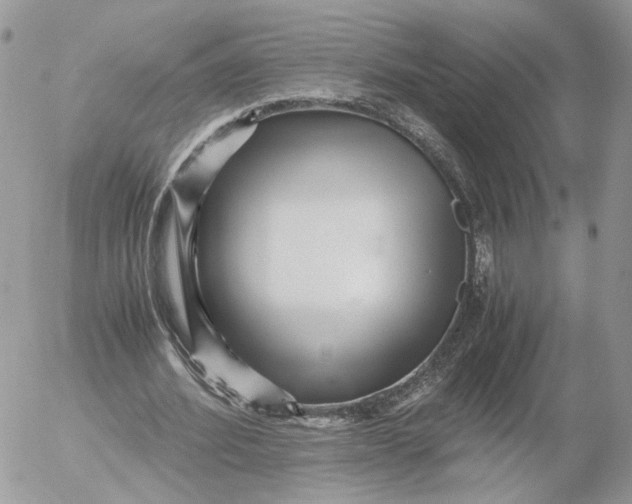 X0000052630580200507221752