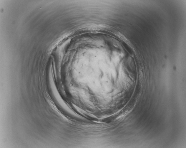 X0000052630581200507221752