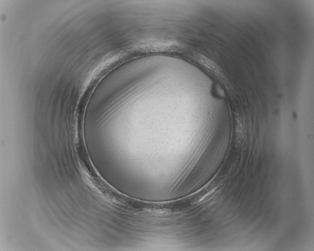 X0000052630582200507221752