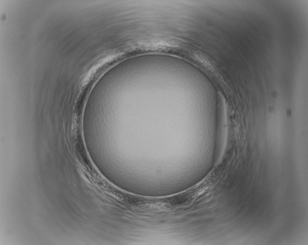 X0000052630583200507221752