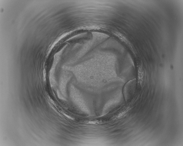 X0000052630584200507221752