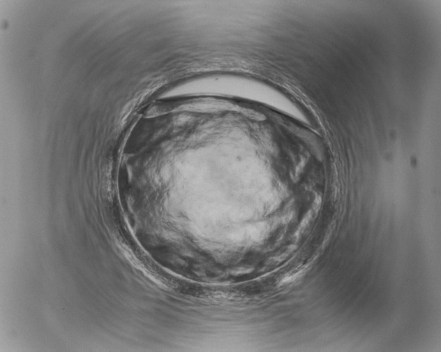 X0000052630585200507221752