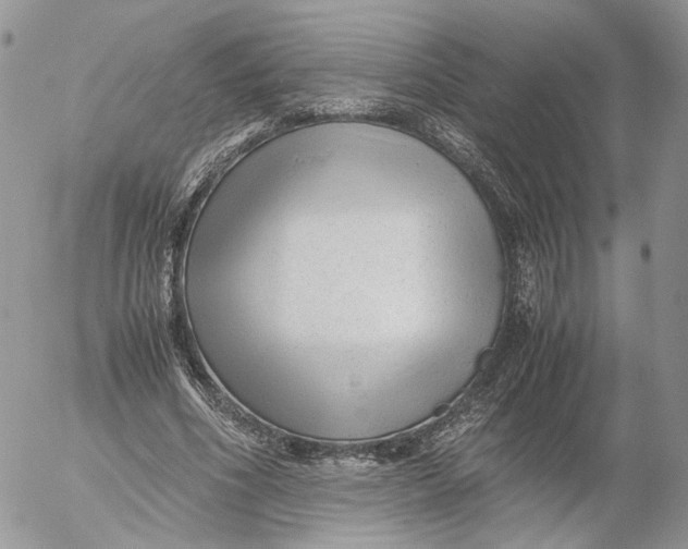 X0000052630586200507221752