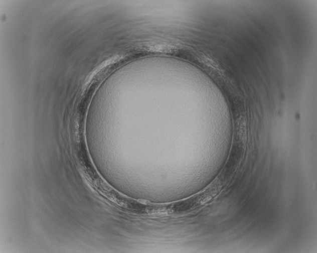 X0000052630587200507221752