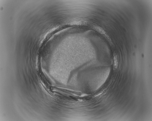 X0000052630588200507221752