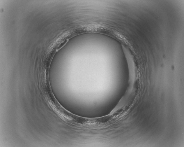 X0000052630589200507221752