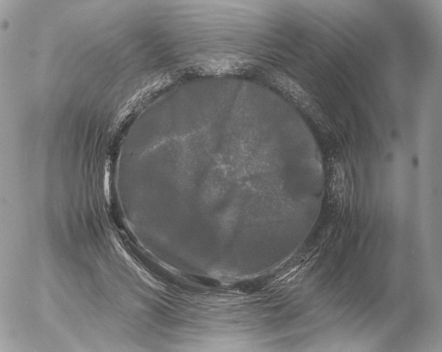 X0000052630590200507221752