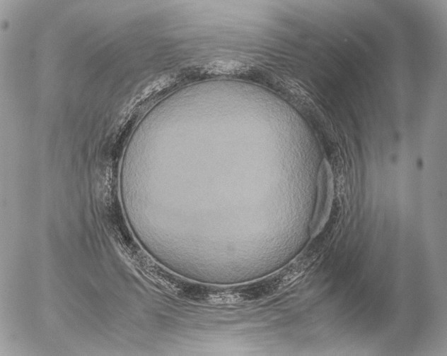 X0000052630591200507221752