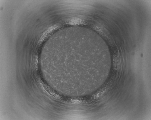 X0000052630592200507221752