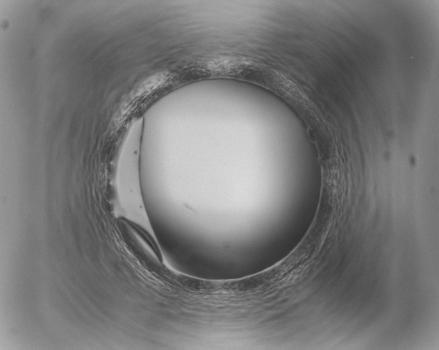 X0000052630593200507221752