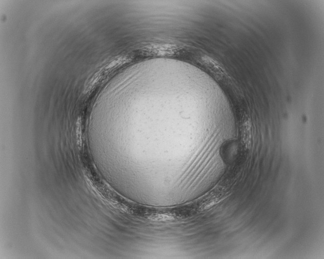 X0000052630594200507221752