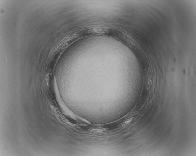 X0000052630595200507221752