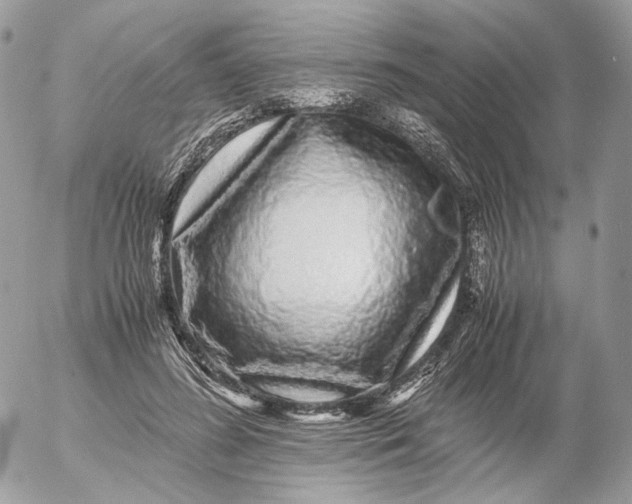 X0000052630596200507221752