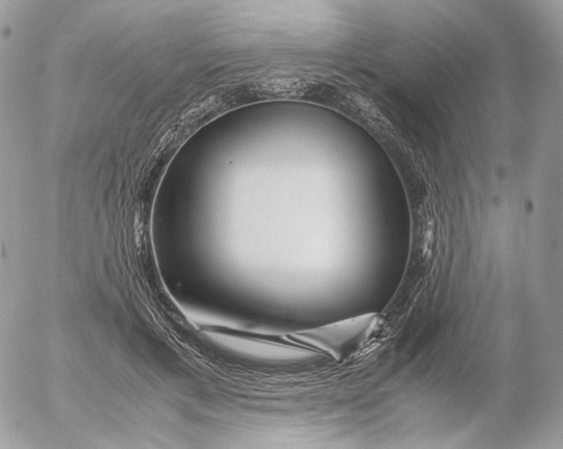 X0000052630597200507221752