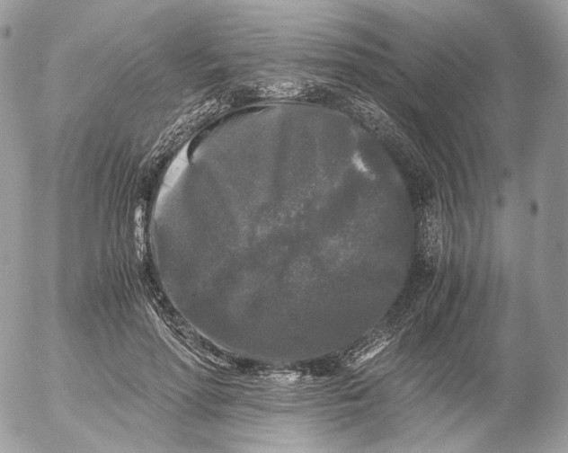 X0000052630598200507221752