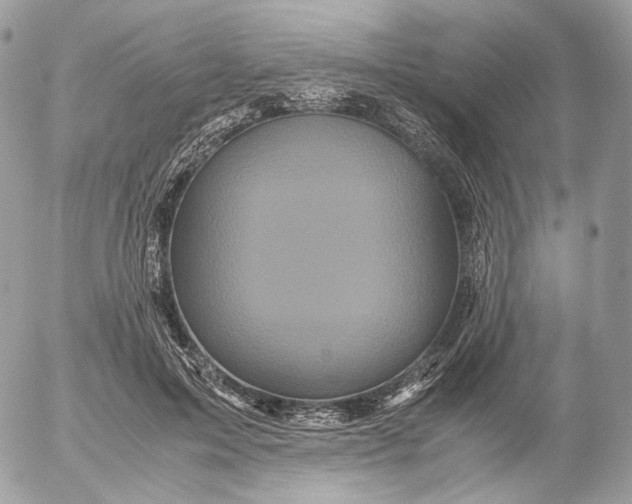 X0000052630599200507221752