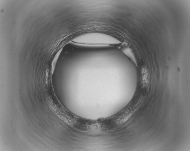 X0000052630600200507221752