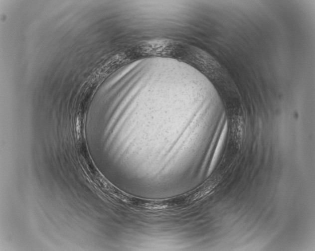 X0000052630602200507221752