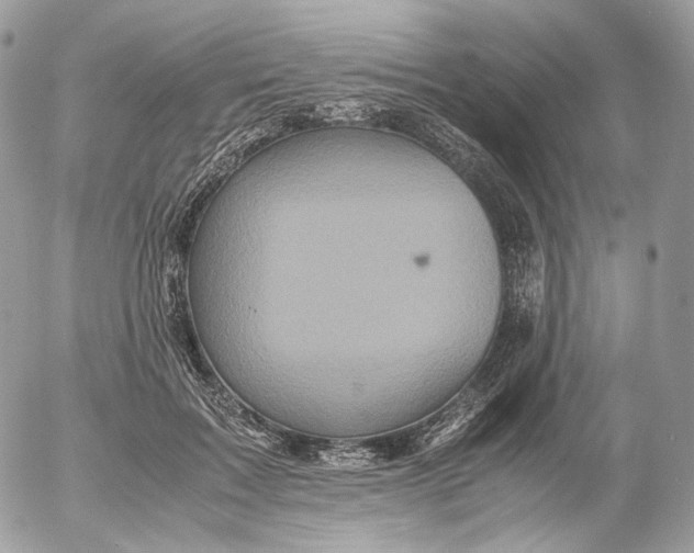 X0000052630603200507221752