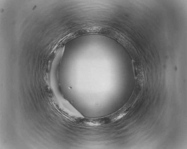 X0000052630604200507221752