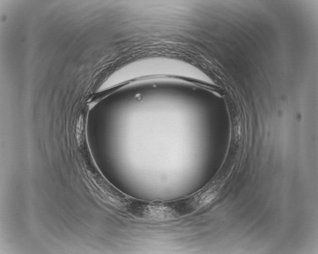 X0000052630605200507221752