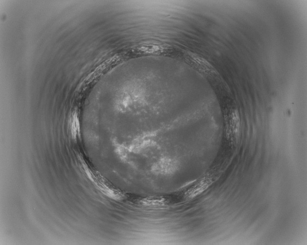 X0000052630606200507221752