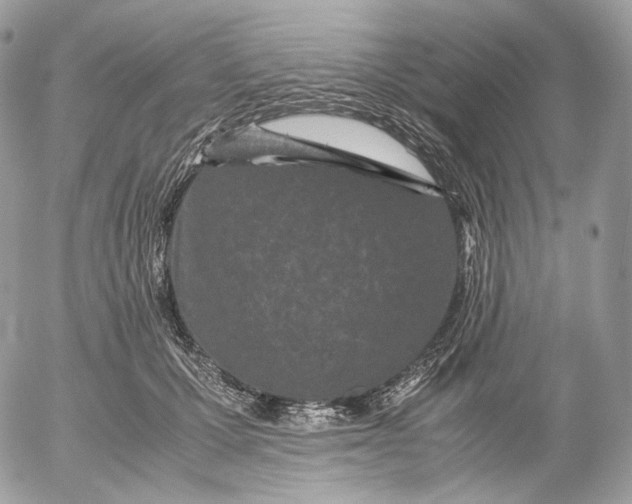 X0000052630607200507221752