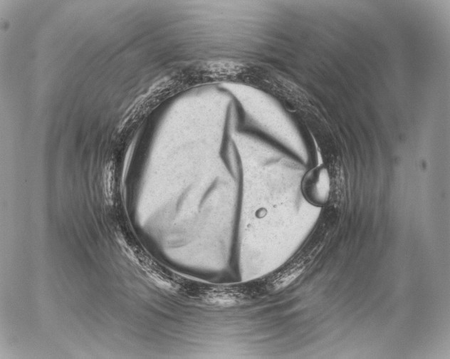 X0000052630608200507221752