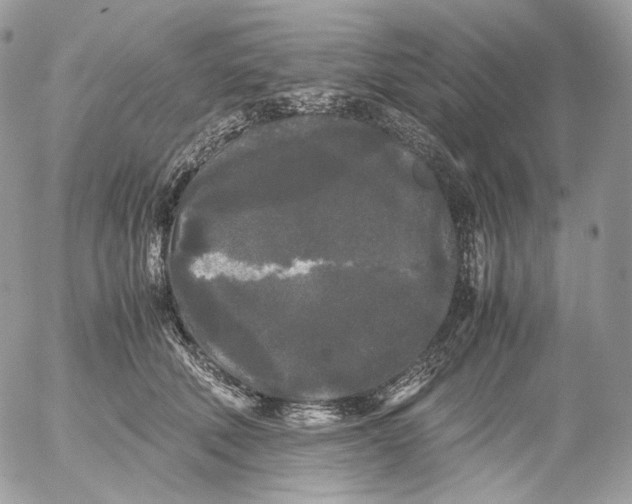 X0000052630610200507221752