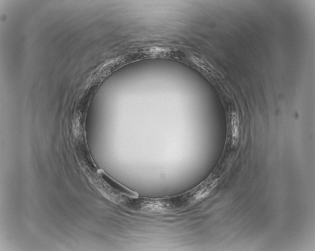 X0000052630611200507221752