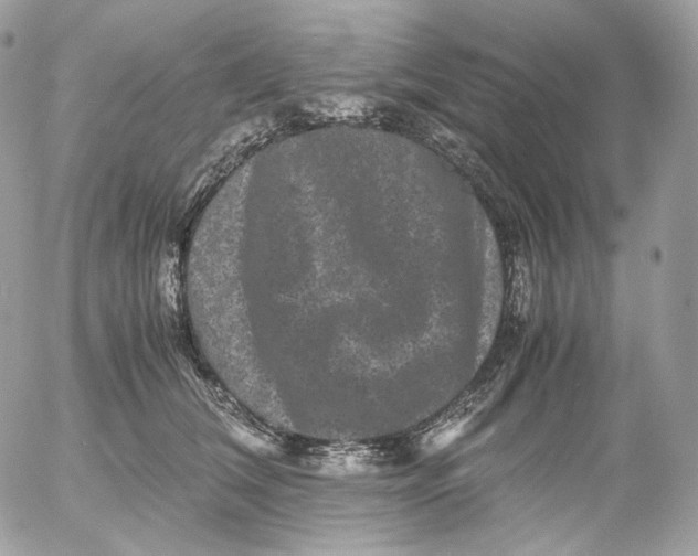 X0000052630612200507221752