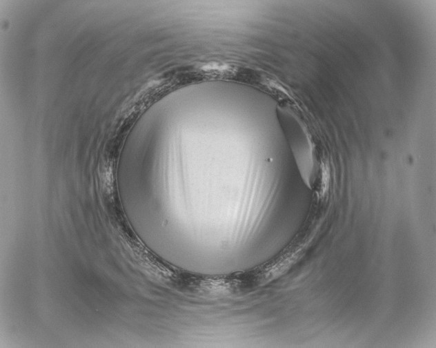 X0000052630613200507221752