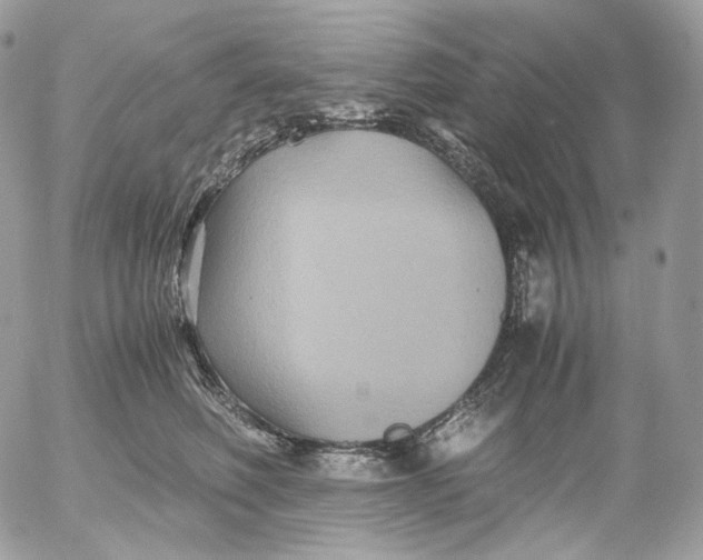 X0000052630614200507221752