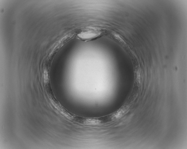 X0000052630617200507221751